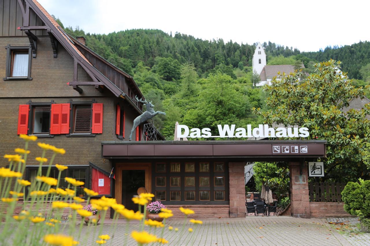 Waldhaus 3* Форбаш